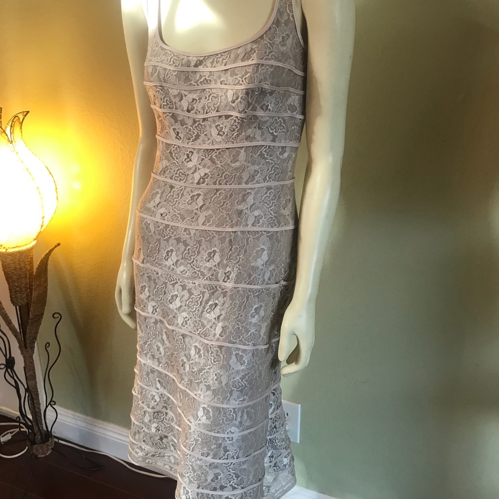 “NEW ARRIVALS” Brand-New Tadashi Shoji Pencil Cut Dress Lace Size 4 Beige